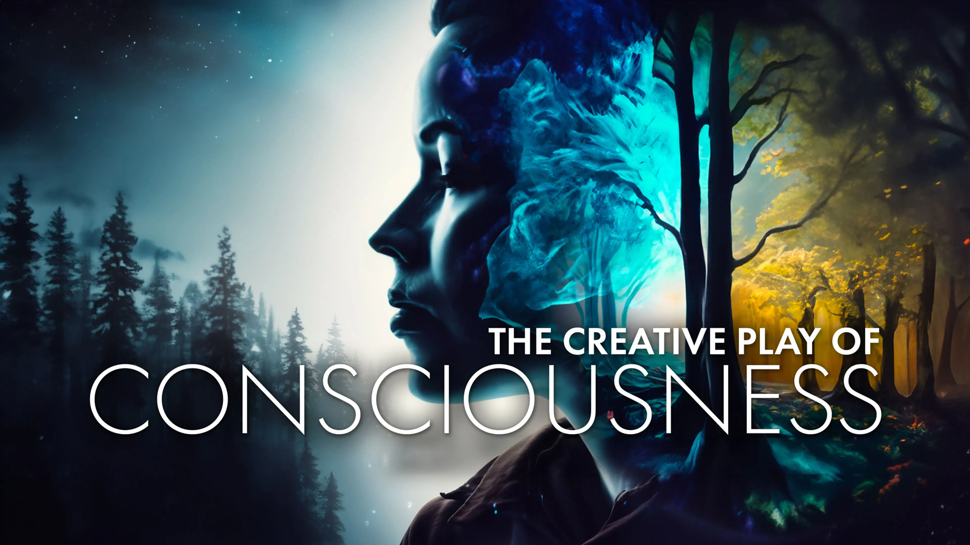 The Creative Play of Consciousness poster